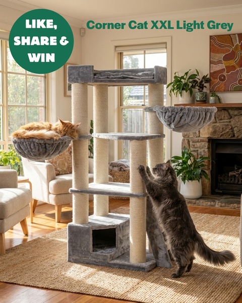 cat tree, cat tower, cat scratching post, cat furniture, cat condo, giveaway, lifestyle, calm, playful, neutral, green